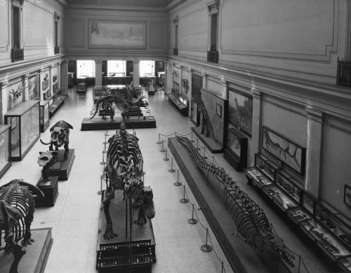 extinctmonstershigh_post1931