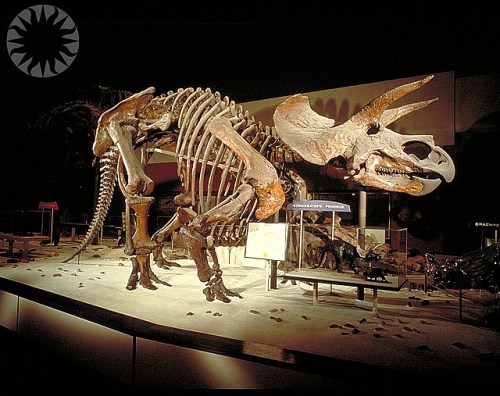 triceratops_1963