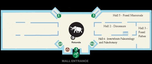Layout of the USNM east wing, circa 1963. 