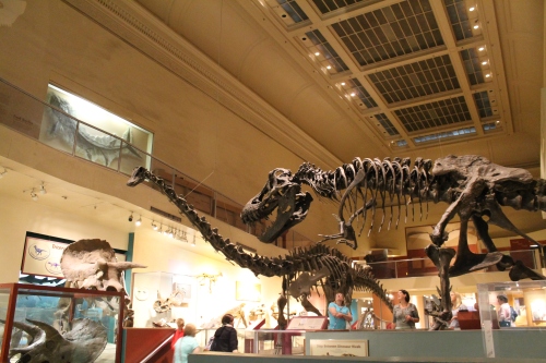 National Museum of Natural History in Washington, DC.