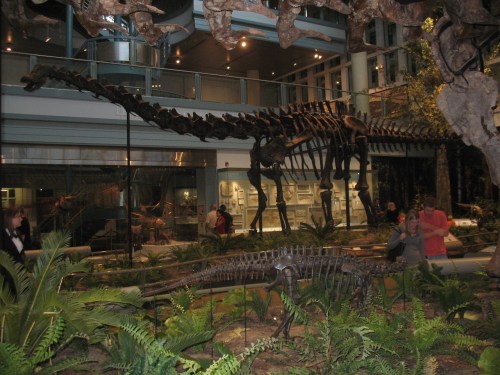 The original "Dippy" the Diplodocus at the Carnegie Museum of Natural History.