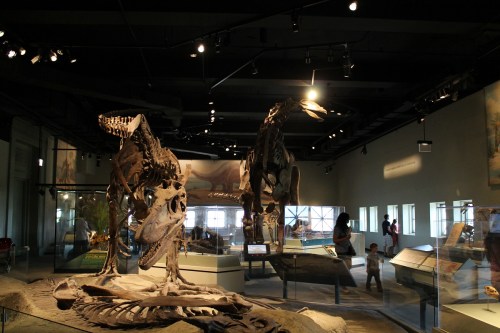 struggling to contain the dinosaurs