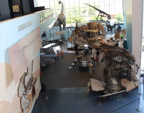 Dinosaur Mysteries from the second floor. Photo by the author.