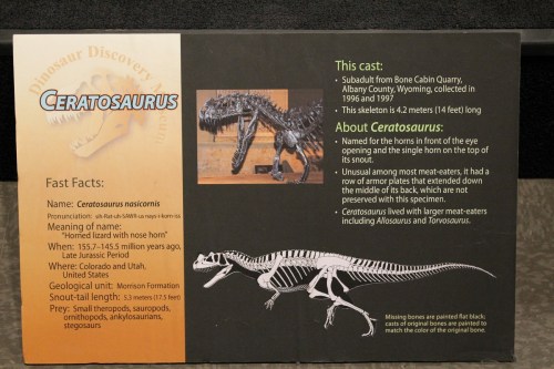 Ceratosaurus sign.