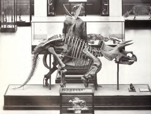 Hatcher in Hall of Extinct Monsters