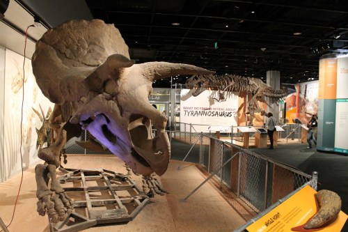 Hatcher greets visitors