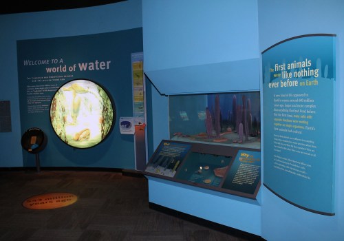 Each geological time period in Evolving Planet is color-coded. Photo by the author.