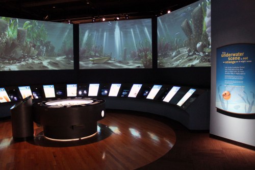 A panoramic CGI recreation of the Burgess Shale fauna brings small, easily overlooked fossils to life.