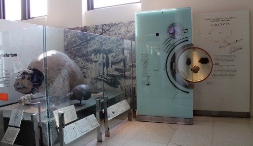 edentates aren't real