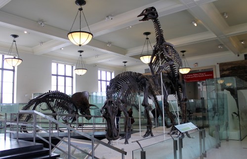 path disappears among dinosaurs