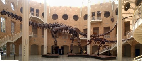 How much is too much?