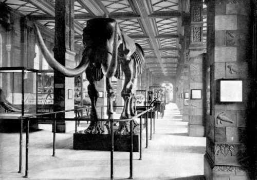 historic photo of mastodon