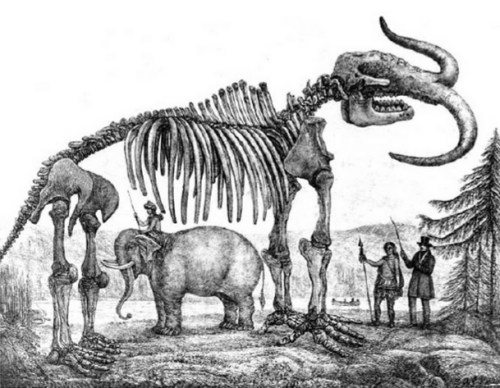 An insane illsutration that accompanied Koch's traveling exhibit.