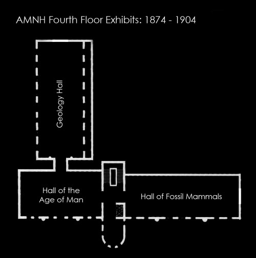 amnhmap_1891