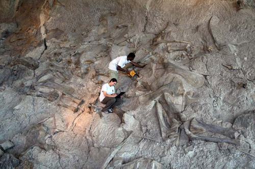 Dinosaur National Monument interns collect data on the quarry wall.