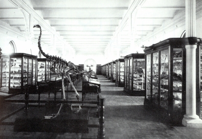 geology hall with moa