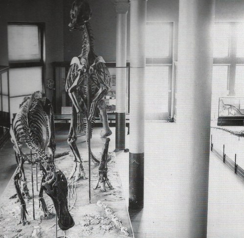 trachodon crowded reptile hall