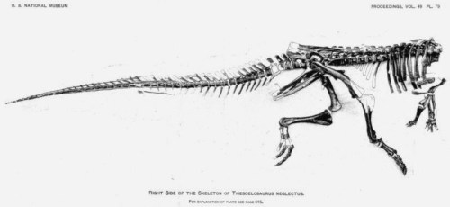 Gilmore's illustration