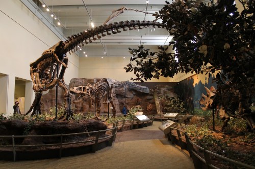 T. rex with flowers and magnolia.