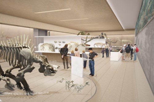 mammal hall concept art by Studio Joseph