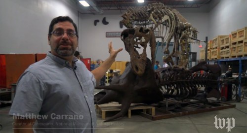 Dr. Carrano gestures toward the awesomeness behind him.