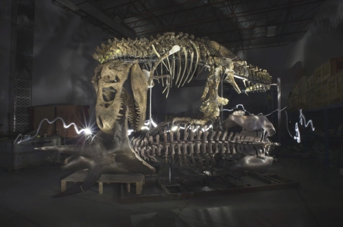 The Nation's T. rex was temporarily assembled in the RCI workshop for inspection by Smithsonian staff. Source