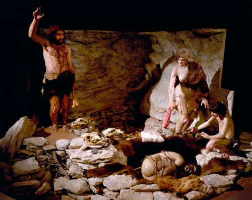 neanderthal diorama