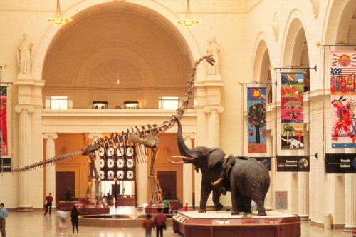 main hall brachiosaurus