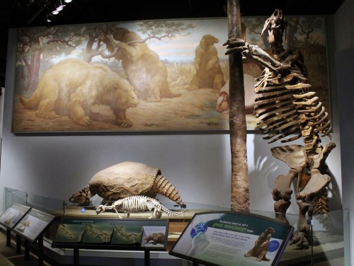 old riggs mounts, new sloth, charles knight