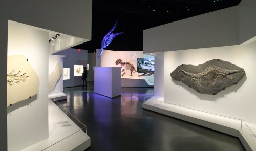 white walls and art gallery format