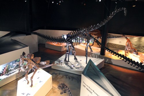 label your damn casts