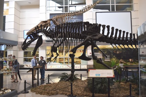 Acrocanthosaurus is photobombed by some legless mammal.