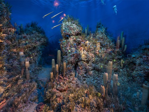 The Permian reef at the Midland Petroleum Museum. I stupidly never took a picture of the NMNH version.