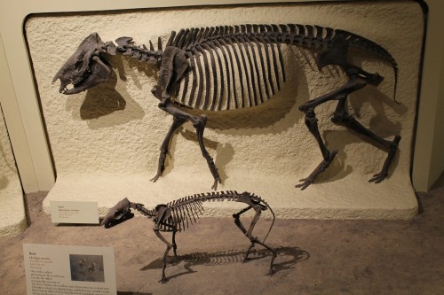 Photo by the author.