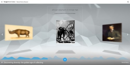 A great deal of content to be found by the bold.