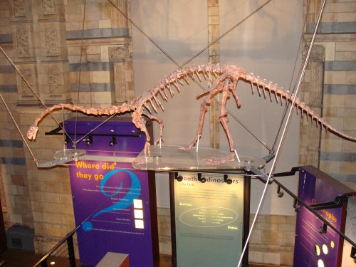 massospondylus